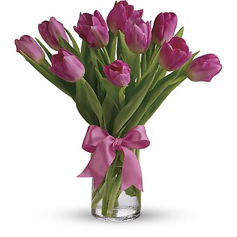 Precious Pink Tulips