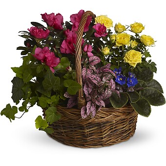 Blooming Garden Basket