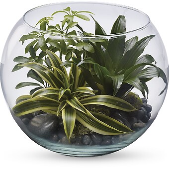 Sphere Of Tranquility Terrarium