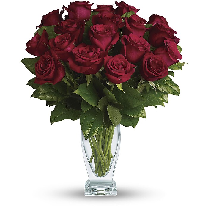 Rose Classique - Dozen Red Roses