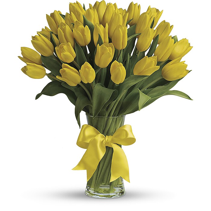 Sunny Yellow Tulips