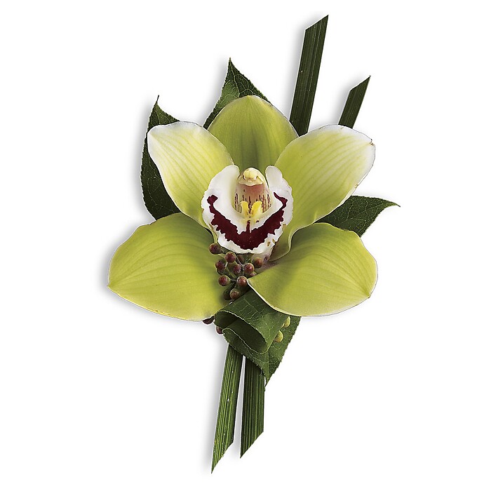 Green Orchid Boutonniere Pick-up Only