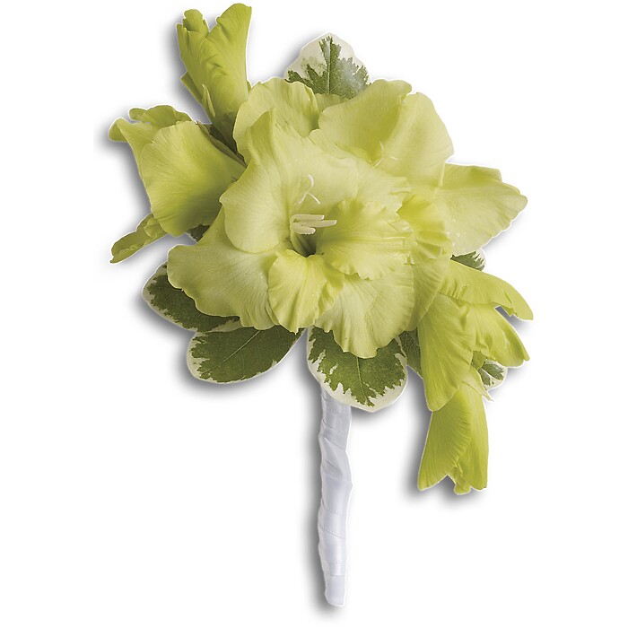 Grand Gladiolus Boutonniere Pick-up Only