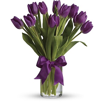 Passionate Purple Tulips