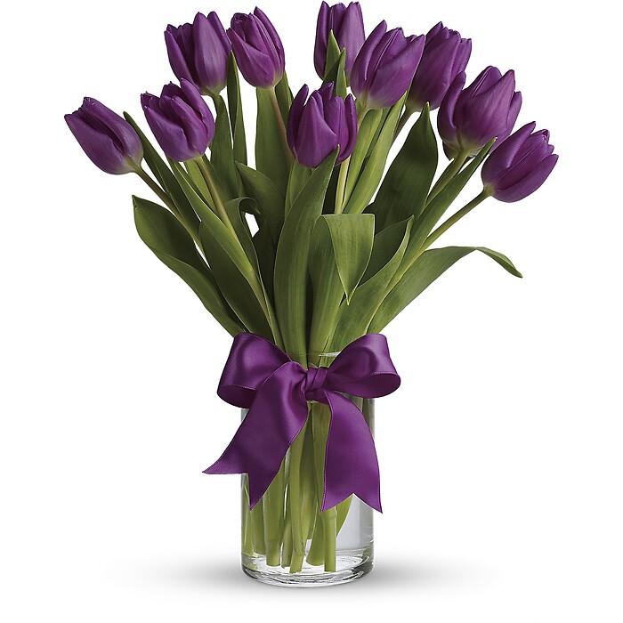 Passionate Purple Tulips