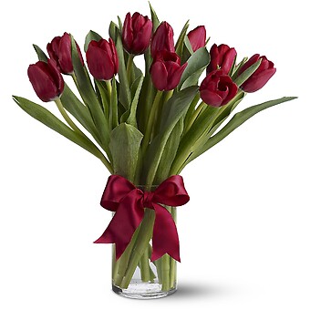 Radiantly Red Tulips