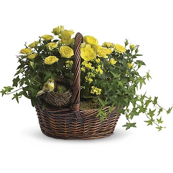 Yellow Trio Basket