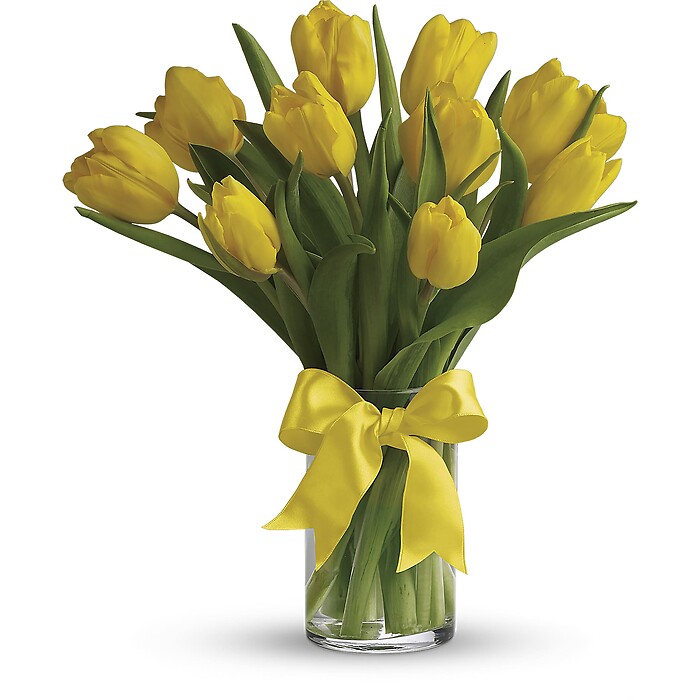 Sunny Yellow Tulips