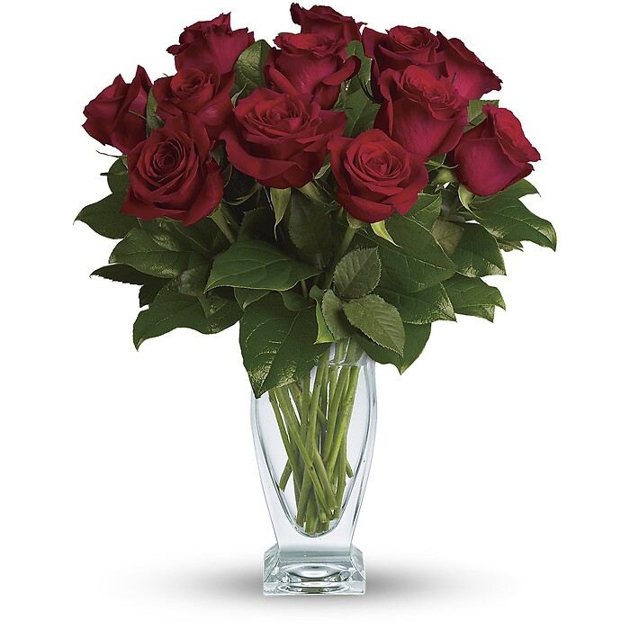 Rose Classique - Dozen Red Roses