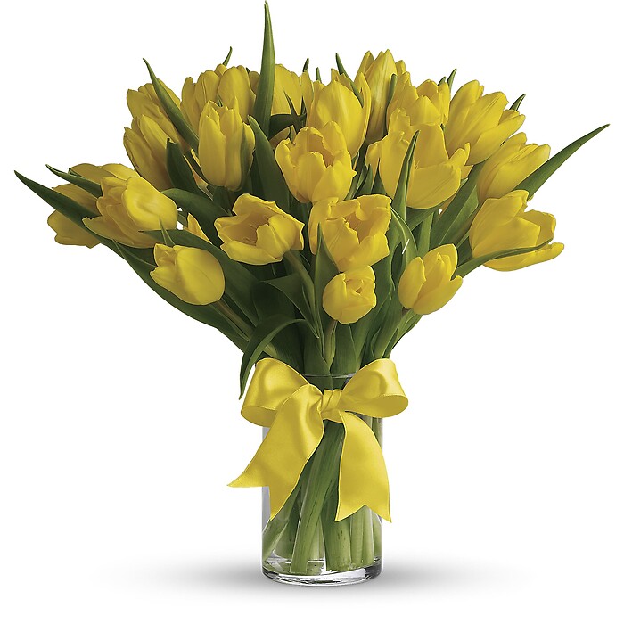 Sunny Yellow Tulips