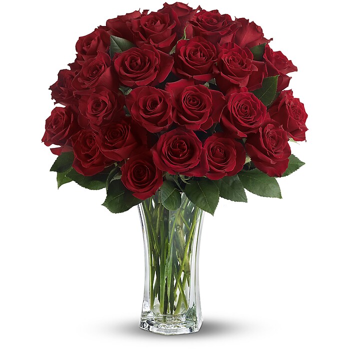 Love and Devotion - Long Stemmed Red Roses