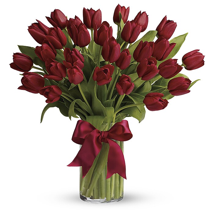 Radiantly Red Tulips